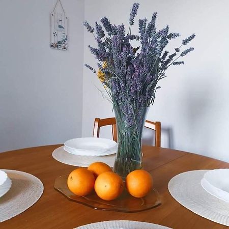 코페르 Istrian House Mojca 빌라 외부 사진