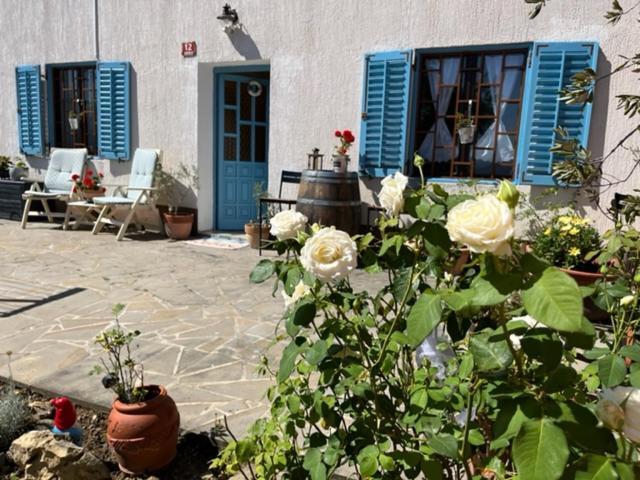 코페르 Istrian House Mojca 빌라 외부 사진